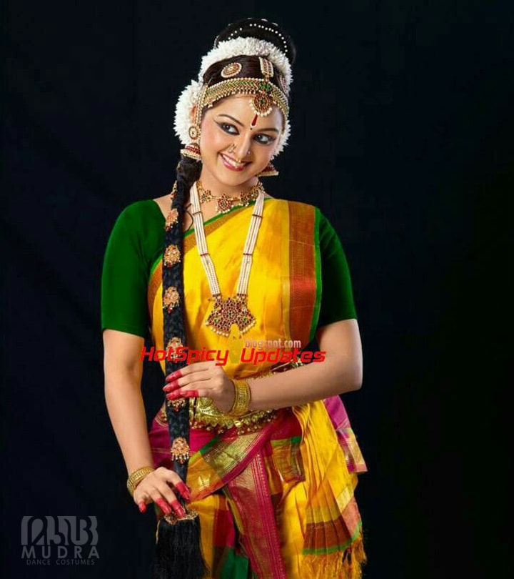 Bharatanatyam Dance Costumes